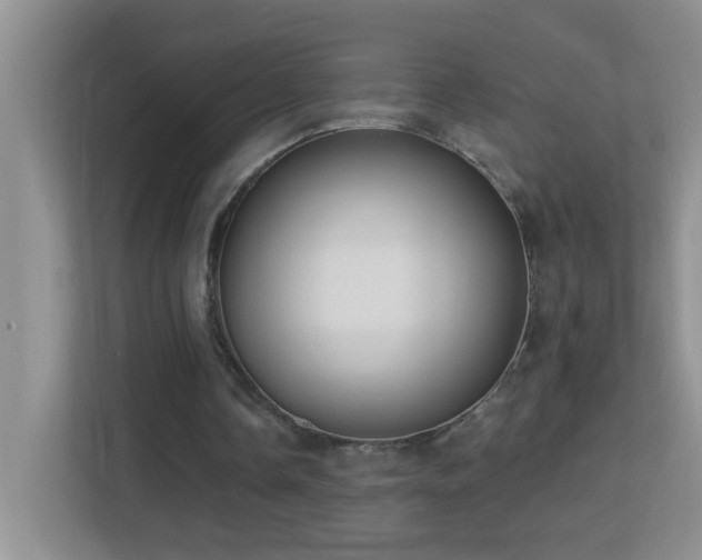 X0000113900338200909241441