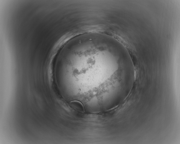 X0000113900339200909241441
