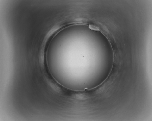 X0000113900344200909241442