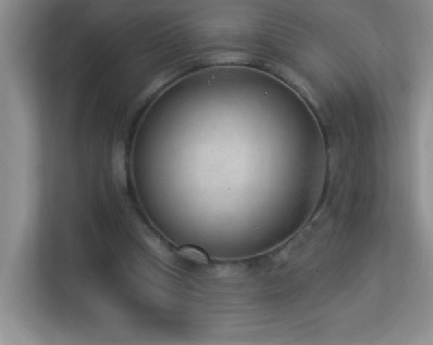 X0000113900345200909241442