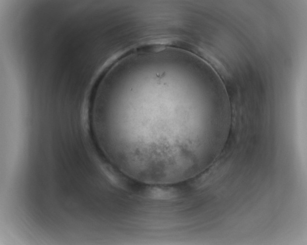 X0000113900346200909241442