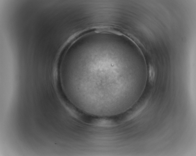 X0000113900348200909241442