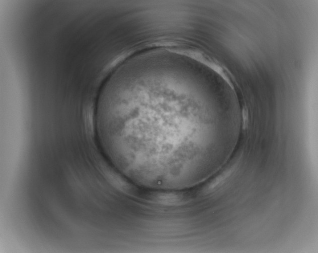 X0000113900349200909241442