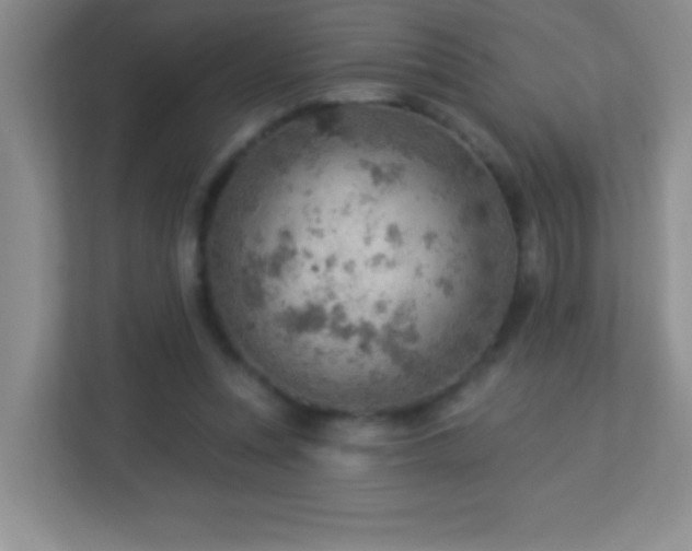 X0000113900351200909241442