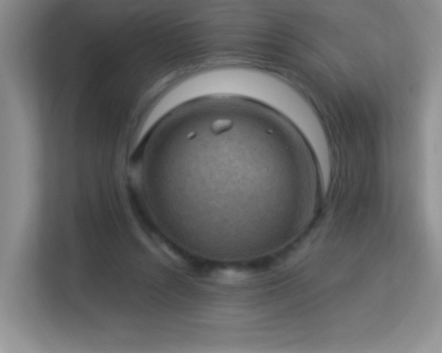 X0000113900352200909241442