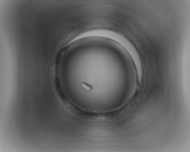 X0000113900356200909241442