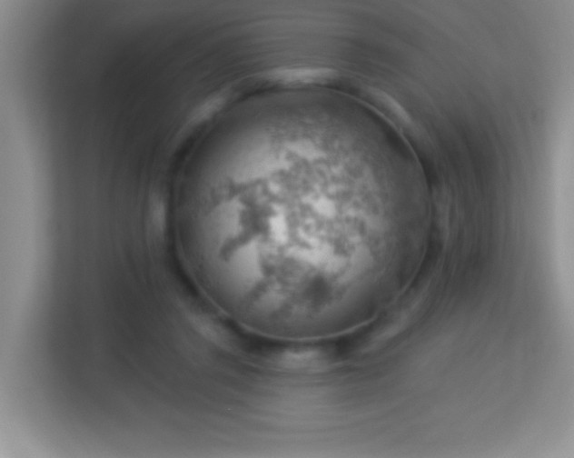 X0000113900357200909241442