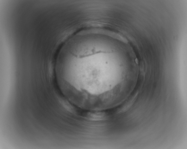 X0000113900359200909241442