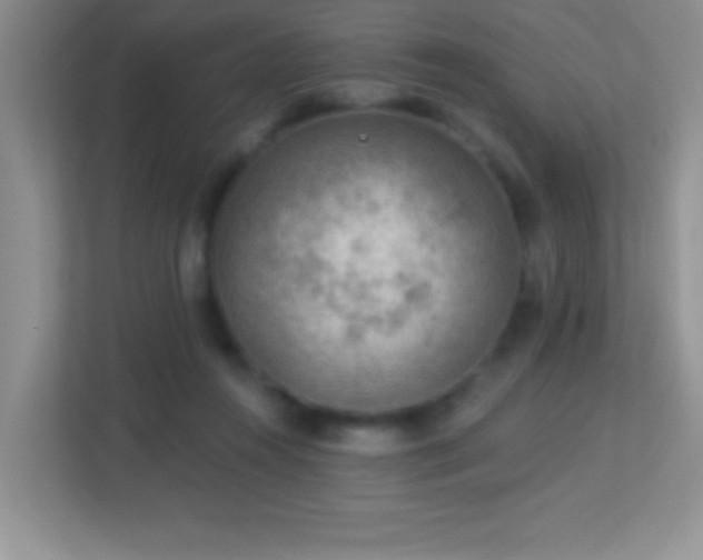 X0000113900360200909241442
