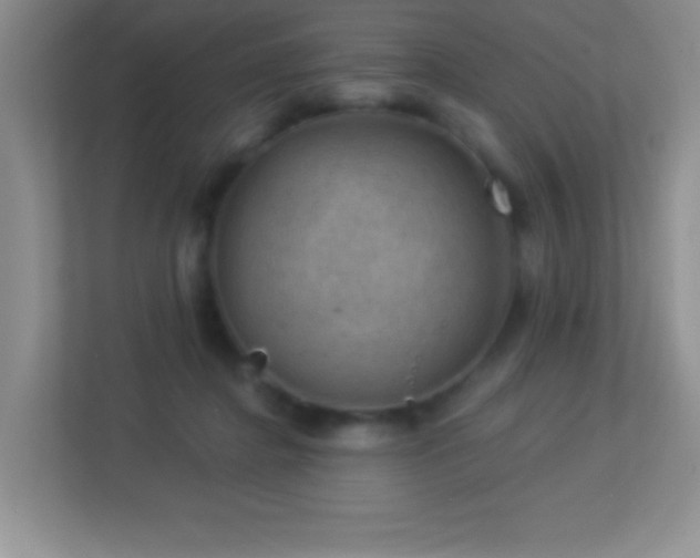 X0000113900364200909241442