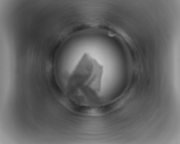 X0000113900365200909241442