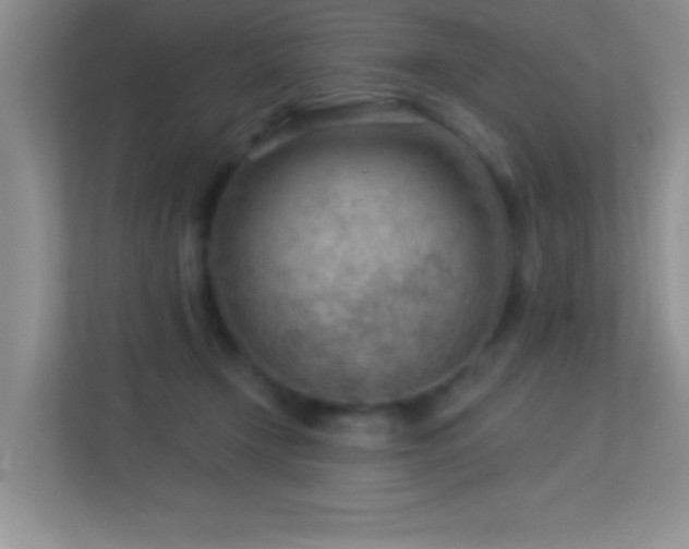 X0000113900366200909241442