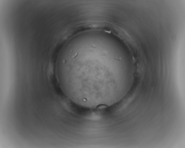 X0000113900368200909241442