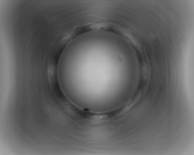 X0000113900375200909241442