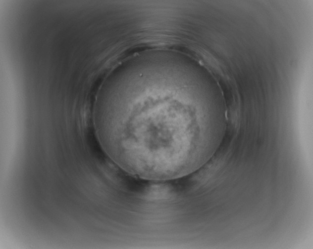 X0000113900376200909241442