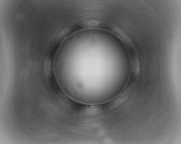 X0000113900378200909241442