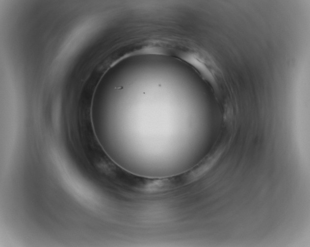 X0000113900382200909241442