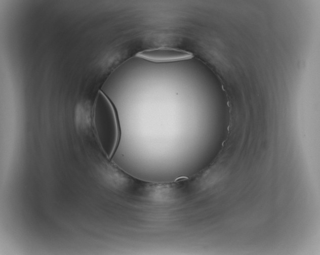 X0000113900384200909241442