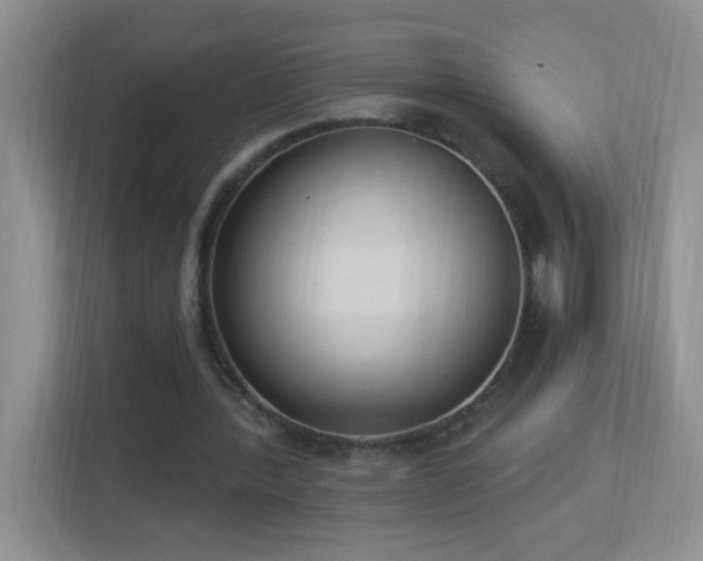 X0000113900388200909241441