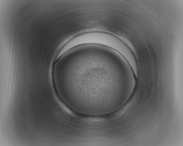 X0000113900389200909241441