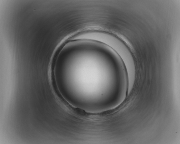X0000113900391200909241441