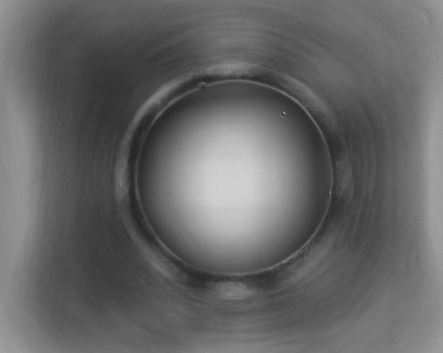 X0000113900392200909241441