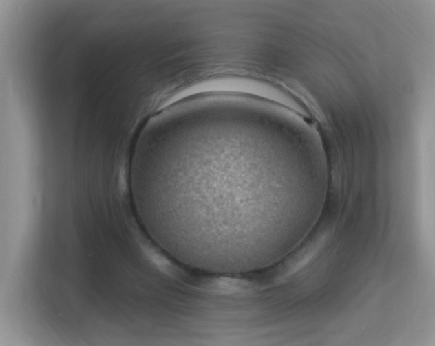 X0000113900393200909241441