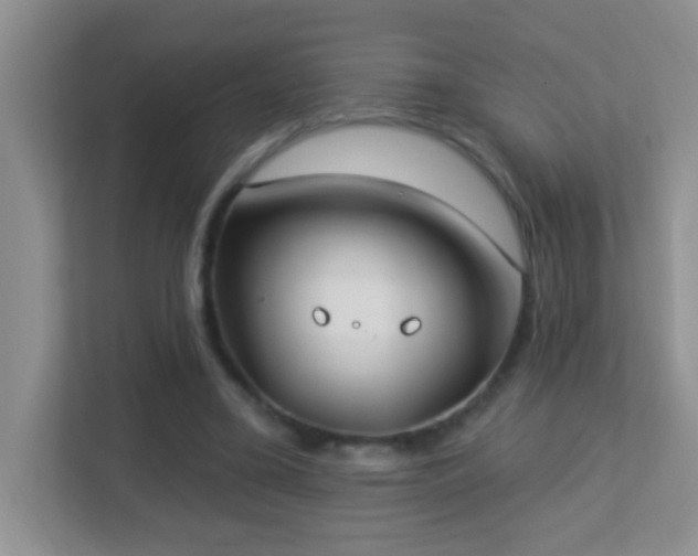 X0000113900395200909241441