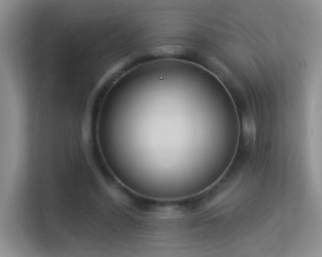 X0000113900396200909241441