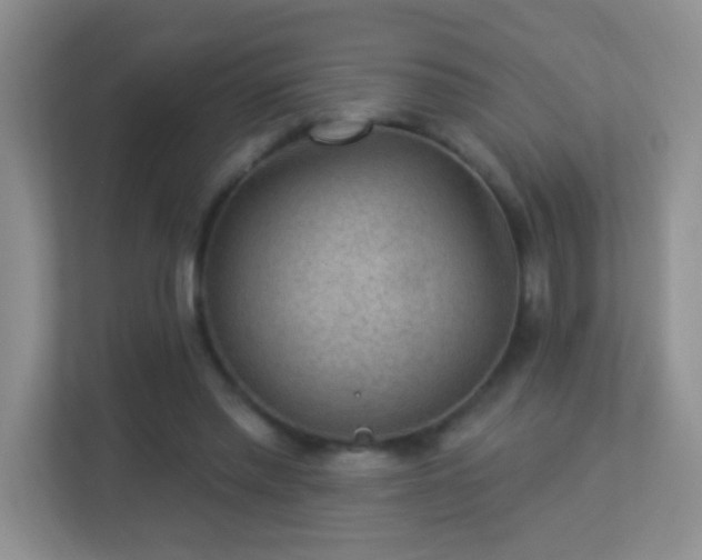 X0000113900397200909241441