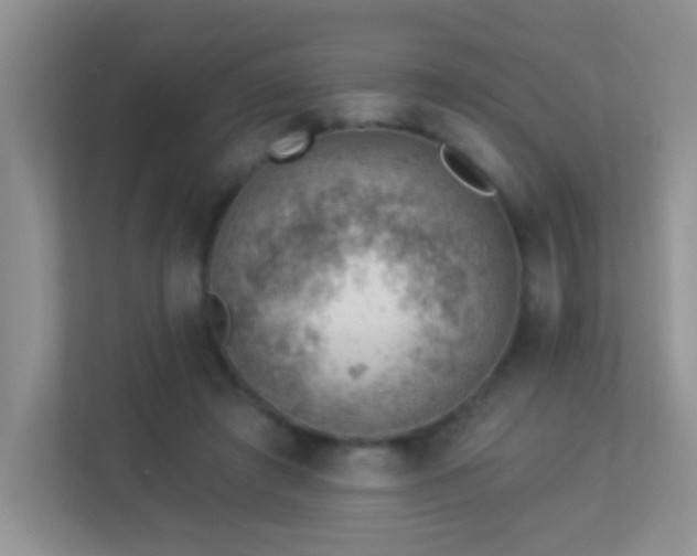 X0000113900401200909241441