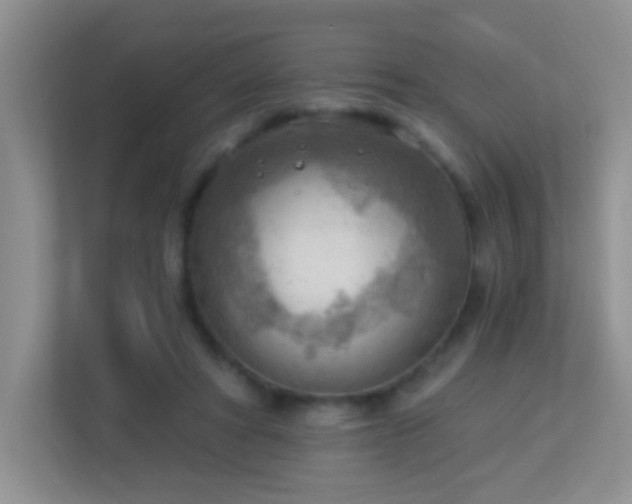 X0000113900402200909241441