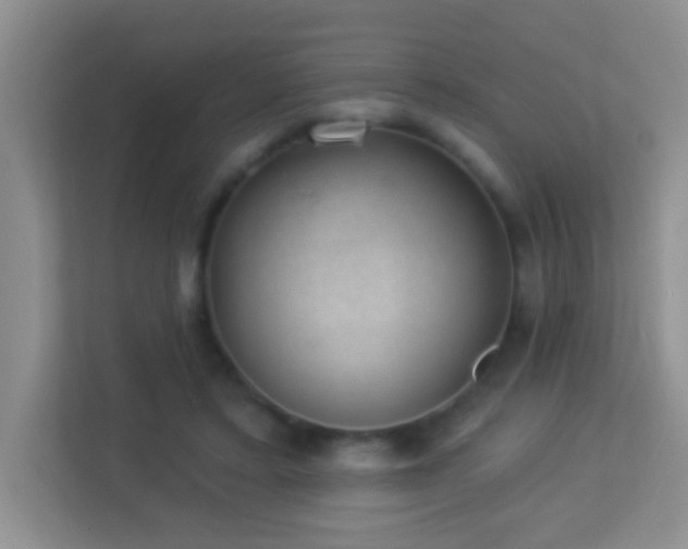 X0000113900403200909241441