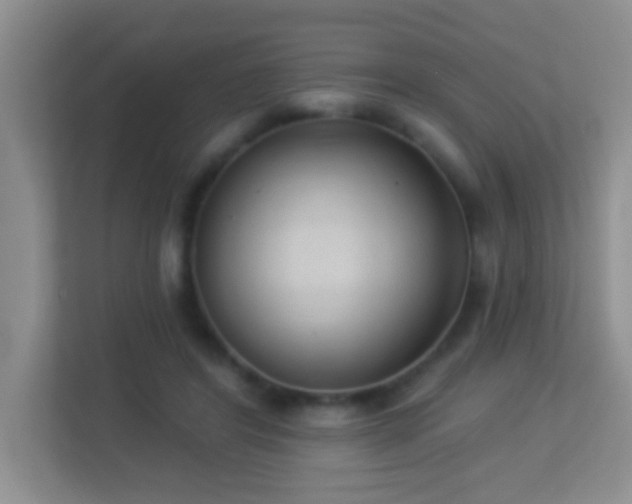 X0000113900404200909241441