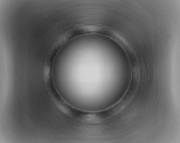 X0000113900406200909241441
