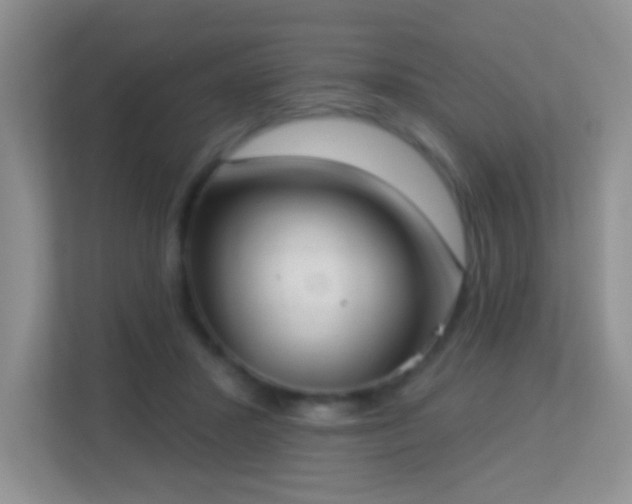 X0000113900407200909241441