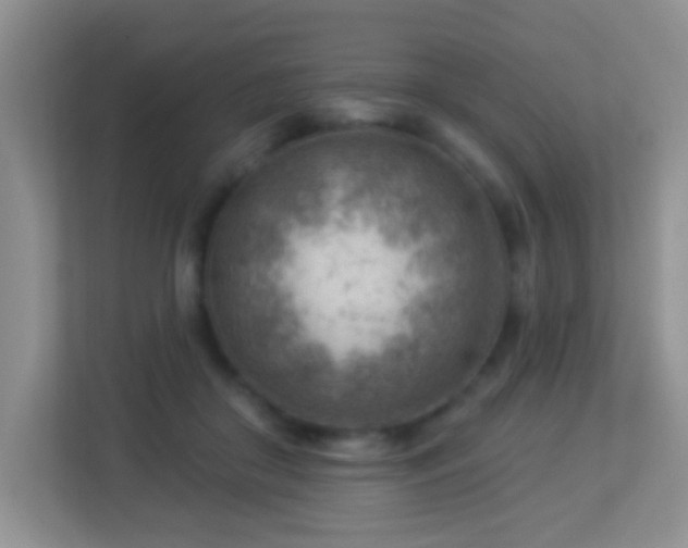 X0000113900410200909241441