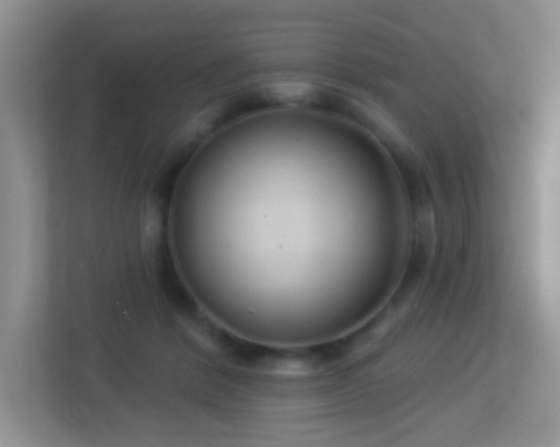 X0000113900412200909241441