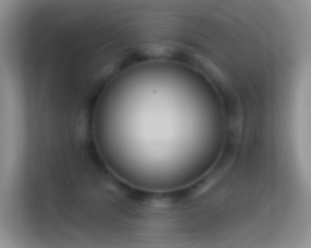 X0000113900416200909241441