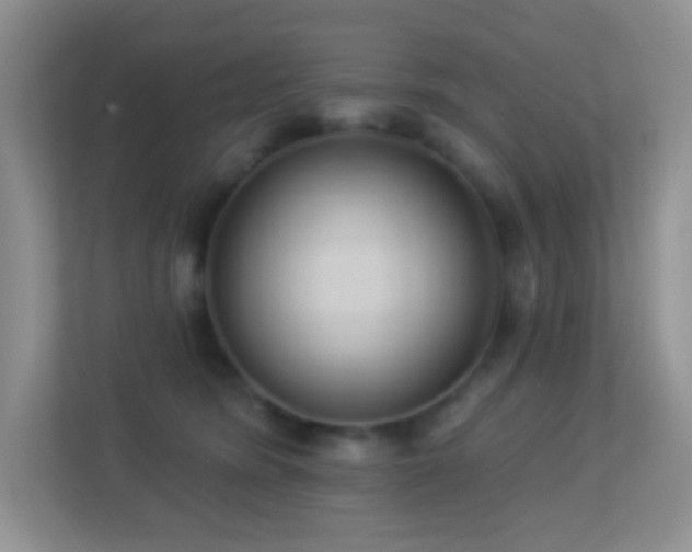 X0000113900420200909241441