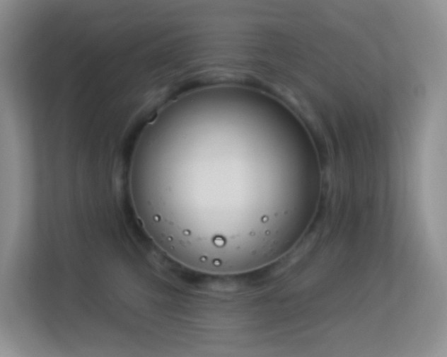 X0000113900423200909241441