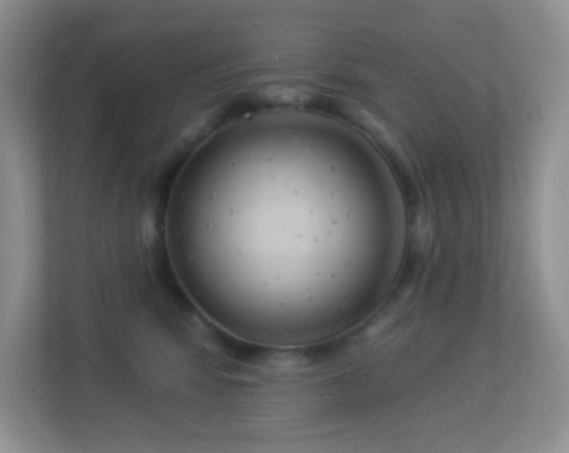 X0000113900424200909241441