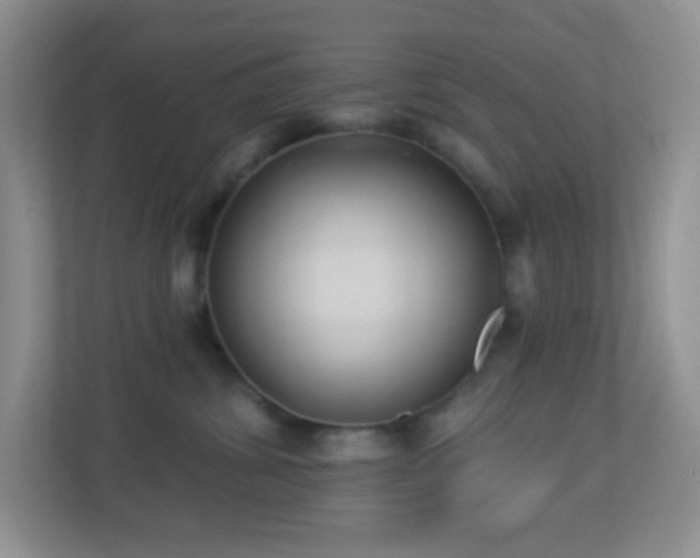 X0000113900428200909241441