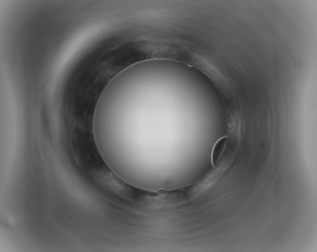X0000113900430200909241441