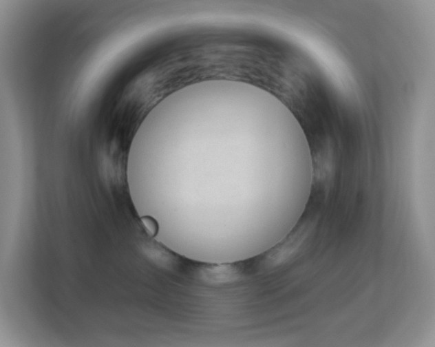 X0000113900431200909241441