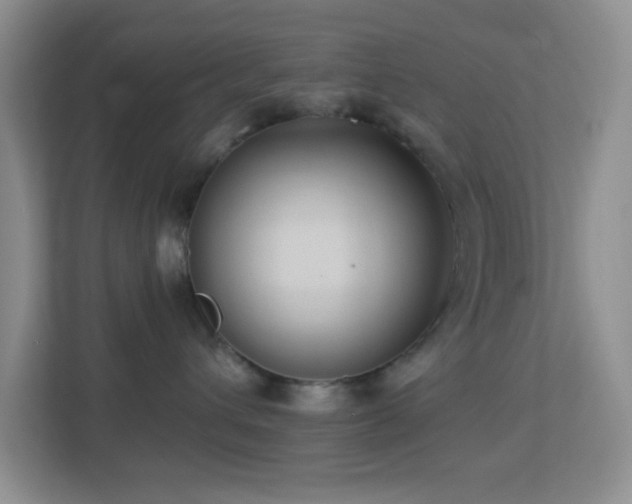 X0000113900432200909241441
