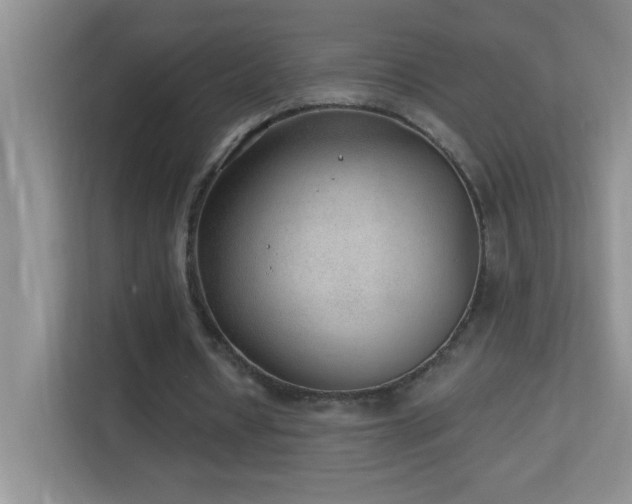 X0000113900434200909241440