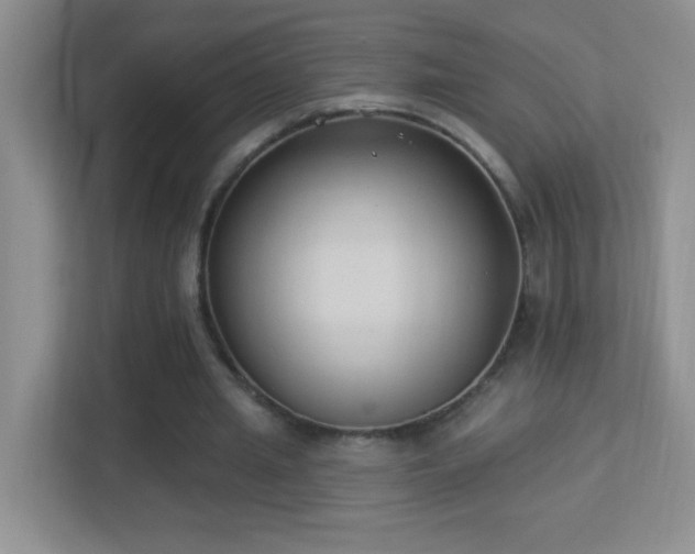 X0000113900437200909241440