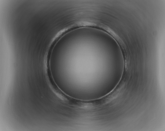 X0000113900438200909241440