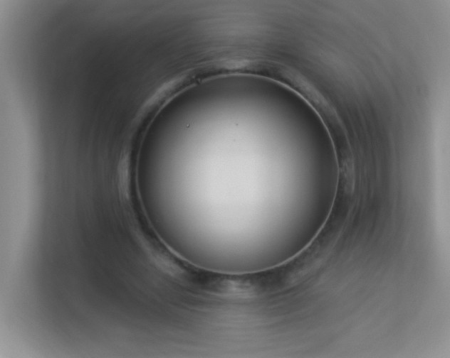 X0000113900442200909241440